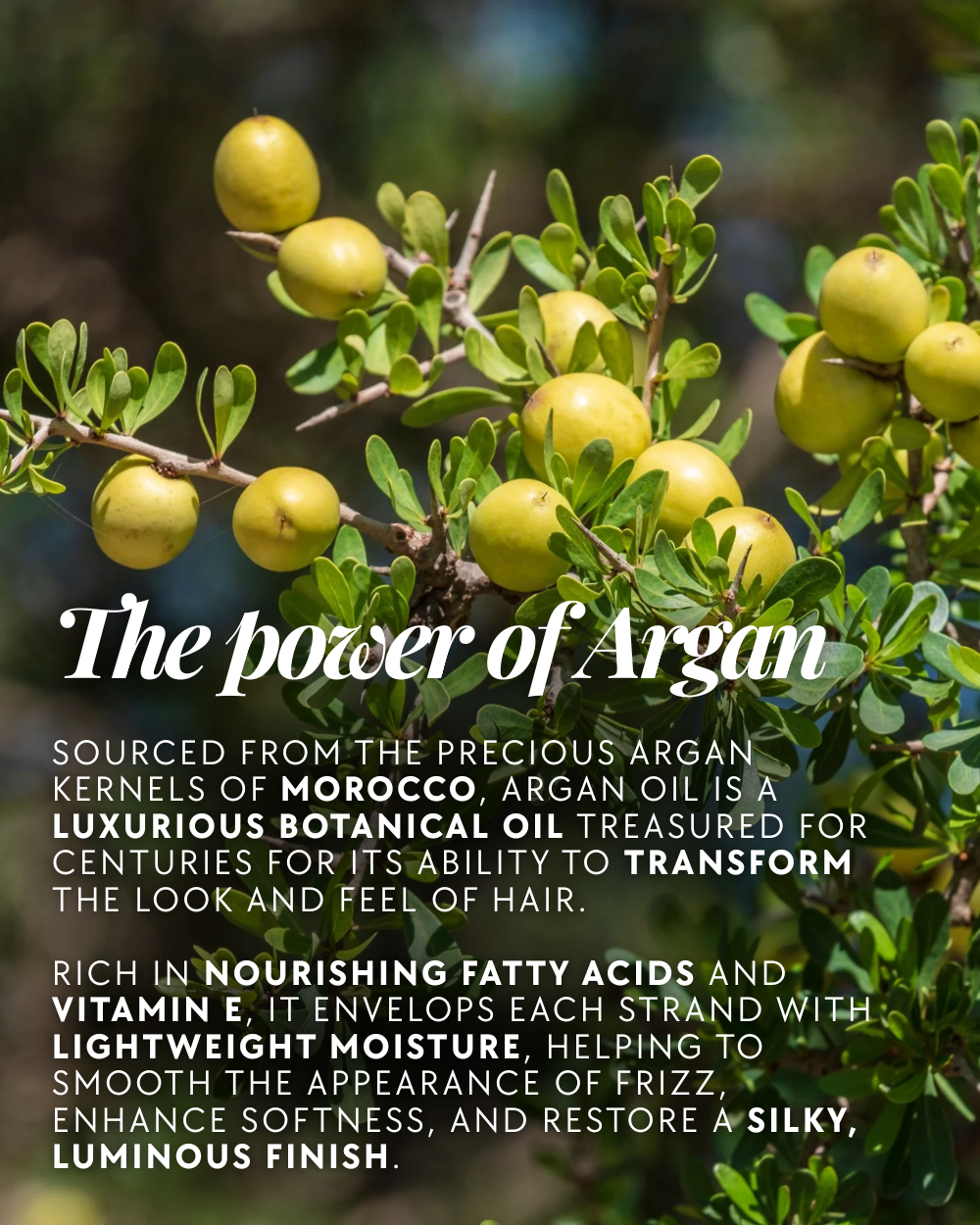 (Argan Infused) Strawberry Parfait Scent-Boosting Hair Mist